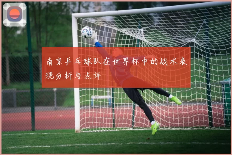 南京乒乓球队在世界杯中的战术表现分析与点评