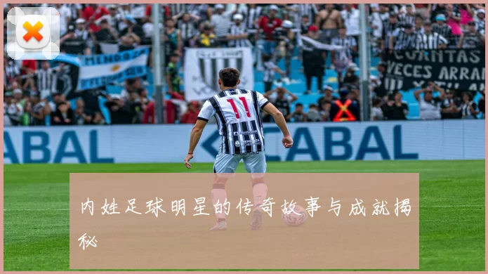 内姓足球明星的传奇故事与成就揭秘
