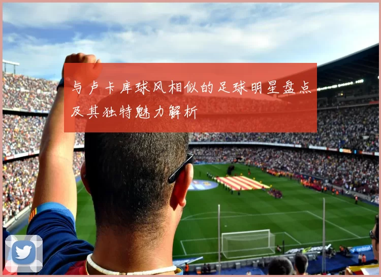 与卢卡库球风相似的足球明星盘点及其独特魅力解析