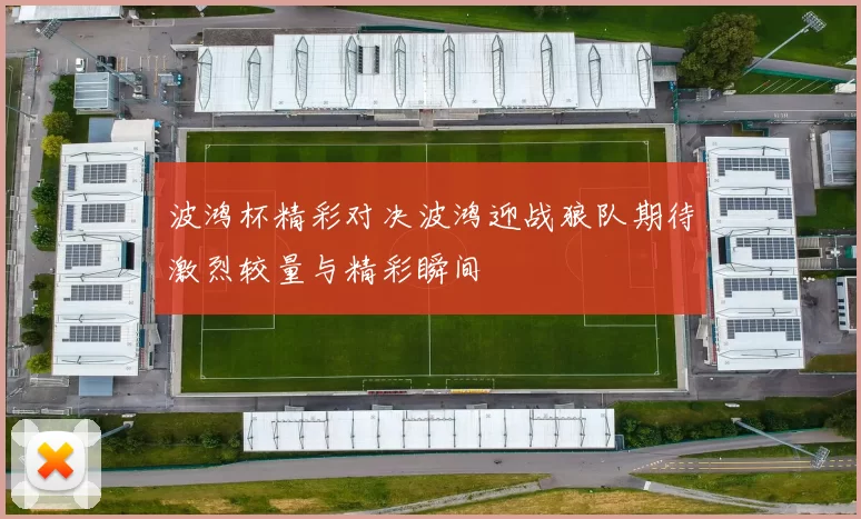 波鸿杯精彩对决波鸿迎战狼队期待激烈较量与精彩瞬间