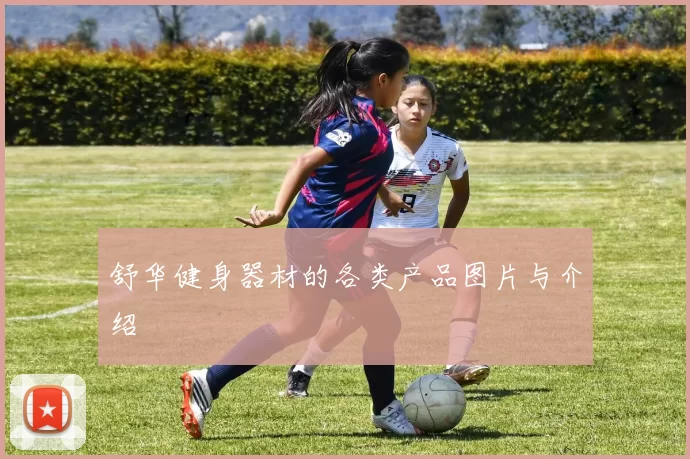 舒华健身器材的各类产品图片与介绍