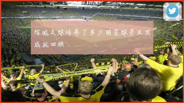 绿城足球培养了多少明星球员及其成就回顾