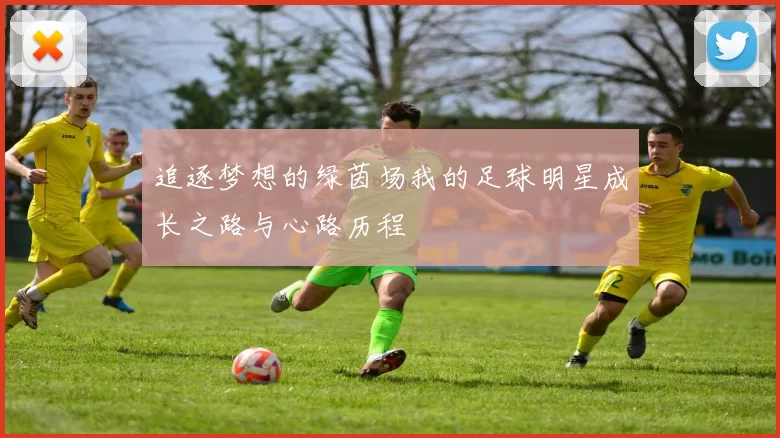 追逐梦想的绿茵场我的足球明星成长之路与心路历程