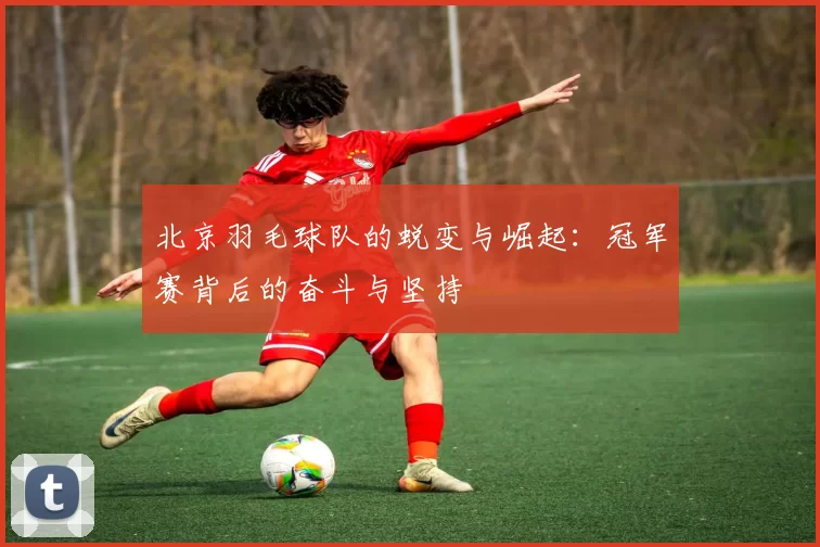 北京羽毛球队的蜕变与崛起：冠军赛背后的奋斗与坚持