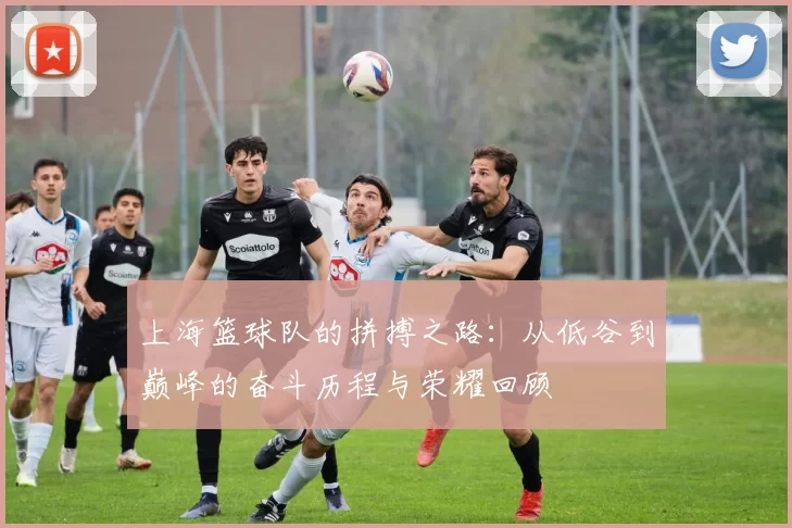 上海篮球队的拼搏之路：从低谷到巅峰的奋斗历程与荣耀回顾