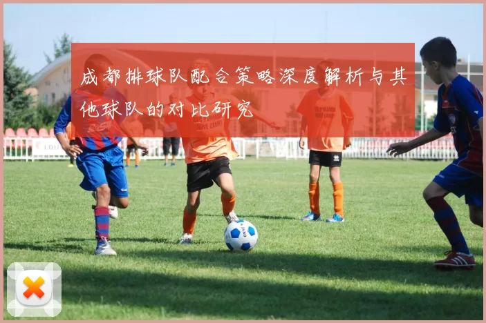 成都排球队配合策略深度解析与其他球队的对比研究