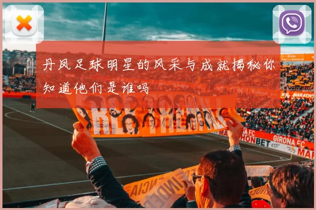 丹凤足球明星的风采与成就揭秘你知道他们是谁吗