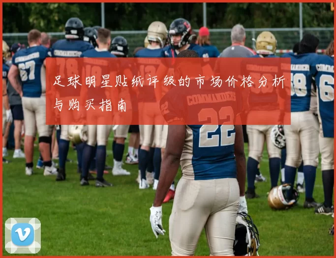 足球明星贴纸评级的市场价格分析与购买指南