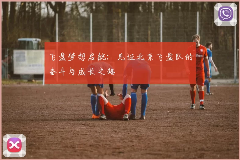 飞盘梦想启航：见证北京飞盘队的奋斗与成长之路