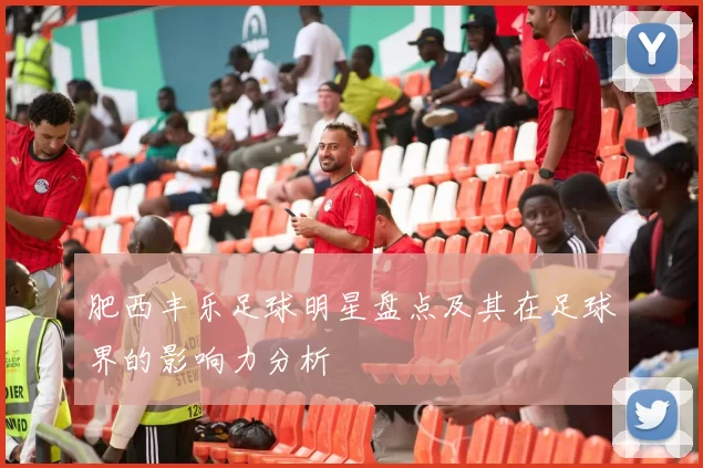 肥西丰乐足球明星盘点及其在足球界的影响力分析