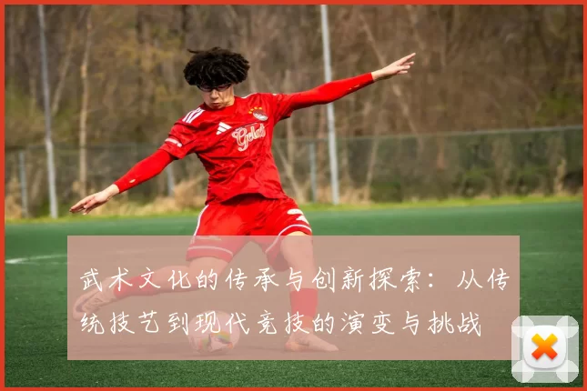 武术文化的传承与创新探索:从传统技艺到现代竞技的演变与挑战
