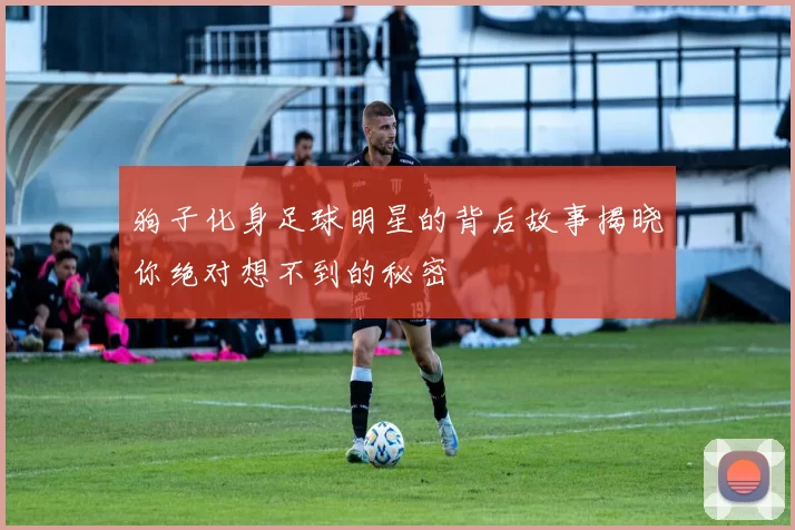 狗子化身足球明星的背后故事揭晓你绝对想不到的秘密