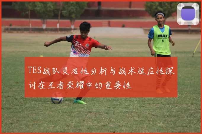 TES战队灵活性分析与战术适应性探讨在王者荣耀中的重要性
