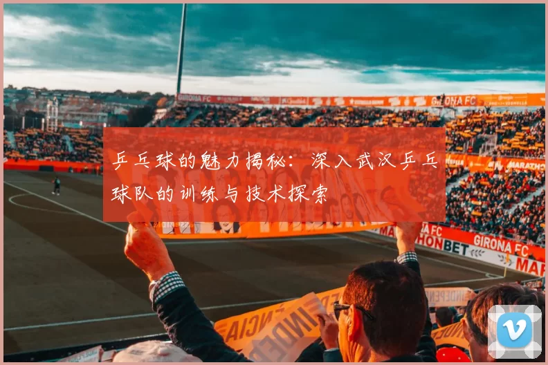 乒乓球的魅力揭秘:深入武汉乒乓球队的训练与技术探索
