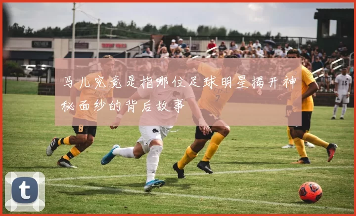 马儿究竟是指哪位足球明星揭开神秘面纱的背后故事
