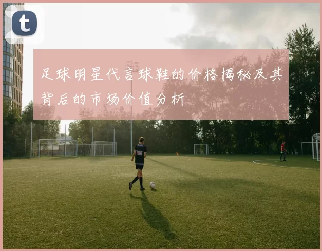 足球明星代言球鞋的价格揭秘及其背后的市场价值分析