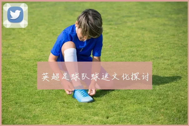 英超足球队球迷文化探讨