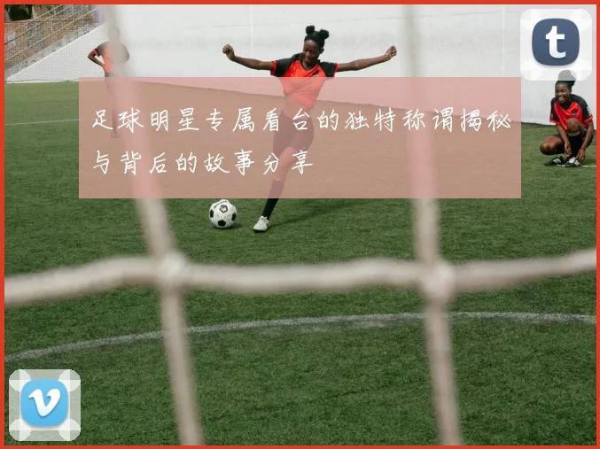 足球明星专属看台的独特称谓揭秘与背后的故事分享