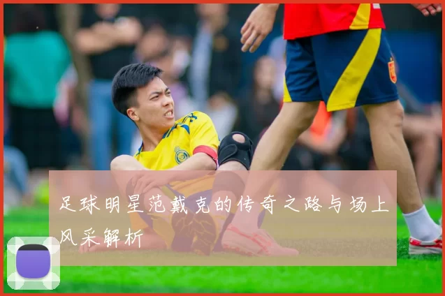 足球明星范戴克的传奇之路与场上风采解析