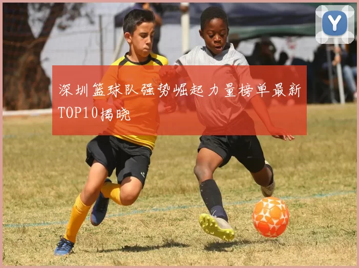 深圳篮球队强势崛起力量榜单最新TOP10揭晓