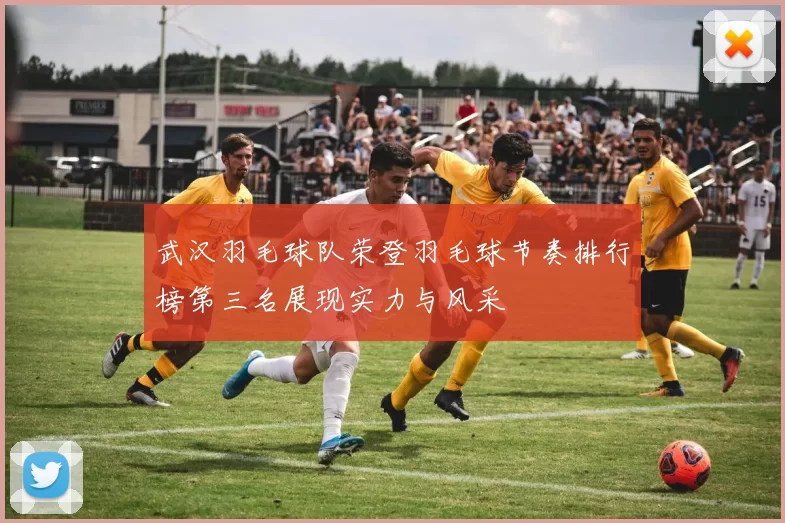 武汉羽毛球队荣登羽毛球节奏排行榜第三名展现实力与风采