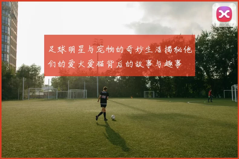 足球明星与宠物的奇妙生活揭秘他们的爱犬爱猫背后的故事与趣事