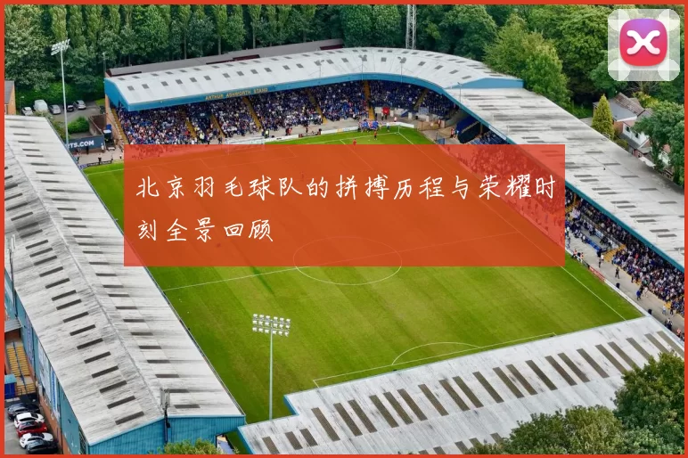 北京羽毛球队的拼搏历程与荣耀时刻全景回顾
