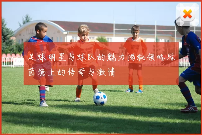 足球明星与球队的魅力揭秘领略绿茵场上的传奇与激情