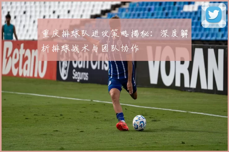 重庆排球队进攻策略揭秘：深度解析排球战术与团队协作
