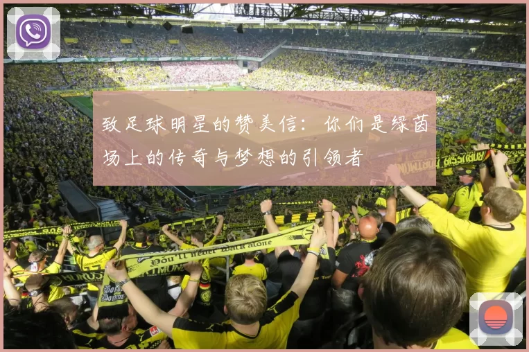 致足球明星的赞美信:你们是绿茵场上的传奇与梦想的引领者