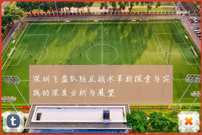 深圳飞盘队防反战术革新探索与实践的深度分析与展望