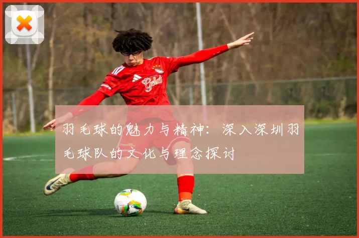 羽毛球的魅力与精神：深入深圳羽毛球队的文化与理念探讨